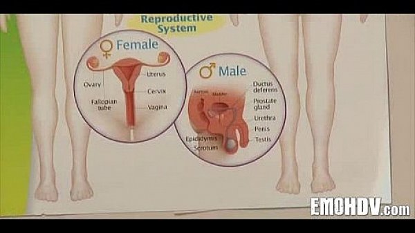 Nonton Emo Slut Fucked 434 thumbnail