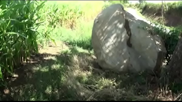 Sucker Dick Of Straigth thumbnail