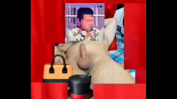 Zea812 - update #63 - 1000047435 - Apr 27, 2025 