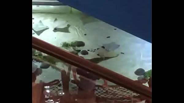 Nonton Always Doing Something thumbnail