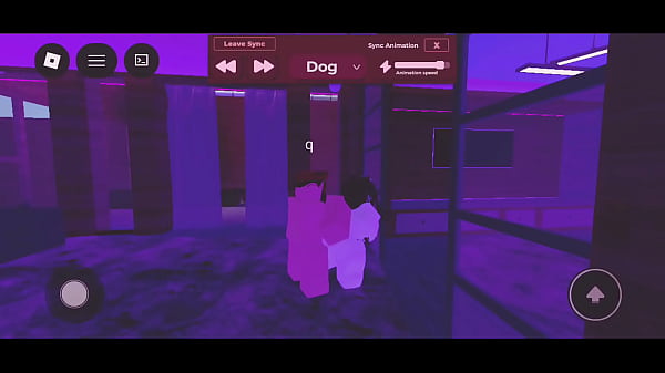 Sexo con desconocidos en roblox