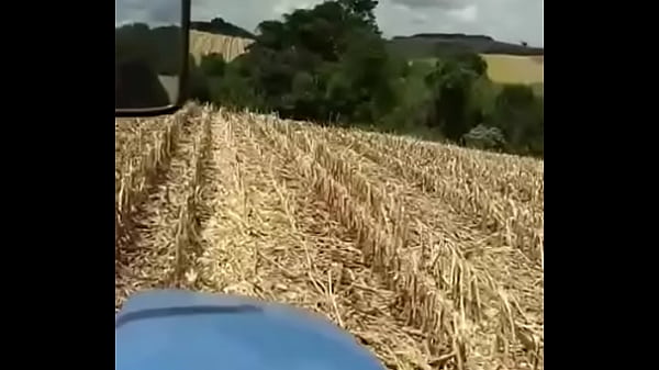 Agricultor safadinho 