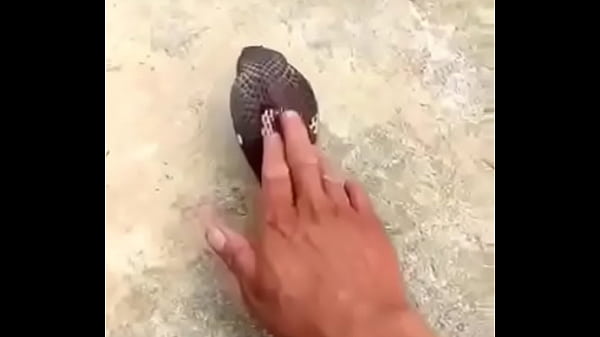 V&iacute;deo de verifica&ccedil;&atilde;o 