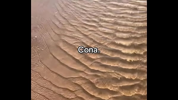 V&iacute;deo de verifica&ccedil;&atilde;o 