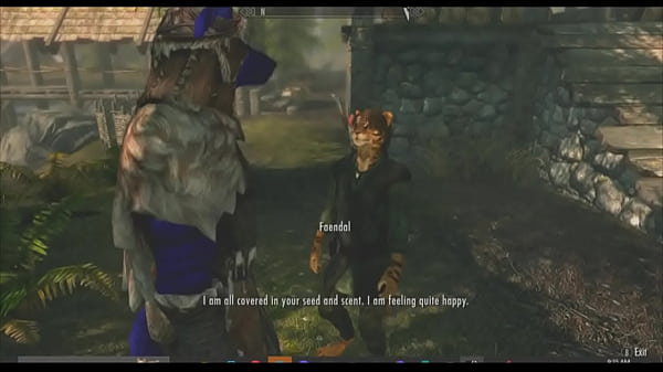 Skyrim exhibitionist 