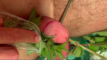 Cum With Nettle Inside My Dick thumbnail