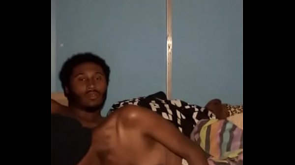 drilling darkkitty cat