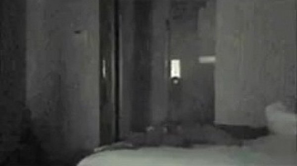 Nonton Trim.8af50f89-9972-41c9-9d84-972b58e1f4bb.mov thumbnail