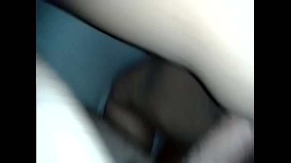 Buena perra en cuatro