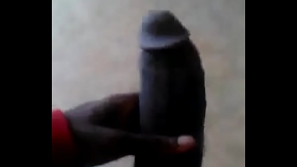 received 203370313337500