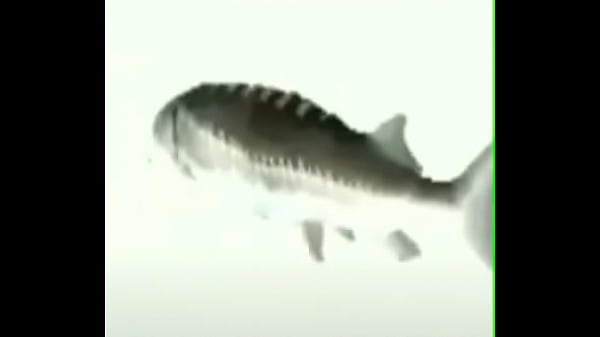 T&aacute; Bom Desliga thumbnail