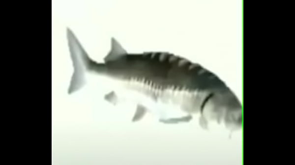 Nonton T&aacute; Bom Desliga thumbnail