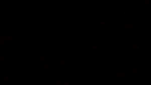 Nonton Pawg Loves Mrwade Big One thumbnail