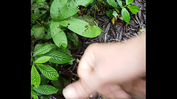 Đi rừng nứng đột xuất