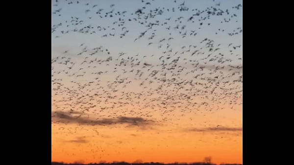 Nonton Traveling And Fucking Everywhere For You To Watch thumbnail