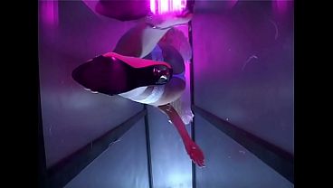 Jane Darling Masturbates While Wearing Angel Wings And Stilettos thumbnail