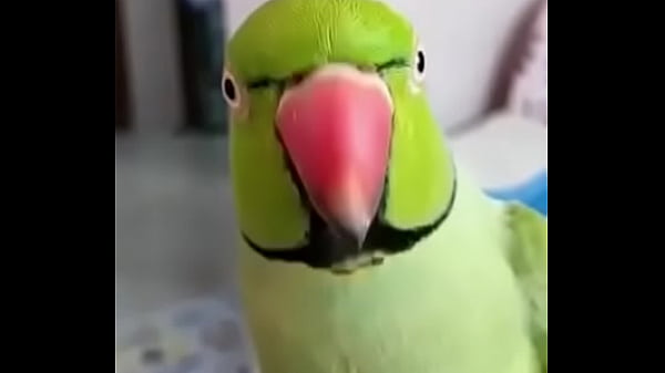 वेरीफ़िकेशन विडियो thumbnail