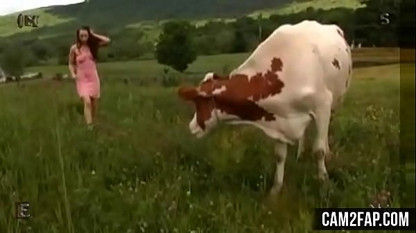 Hardcore Bondage Pt1 Free Bdsm Porn Video thumbnail