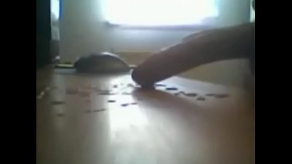 received 1985461695075518