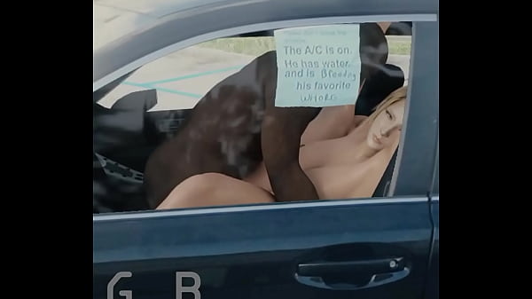 Samus_aran sexin the_car GeneralButch