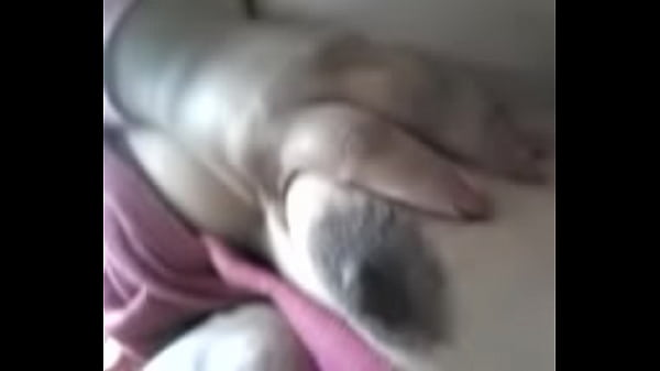 Play MP4 - Mi gorda de Puebla Goloza se toca para mi&period;