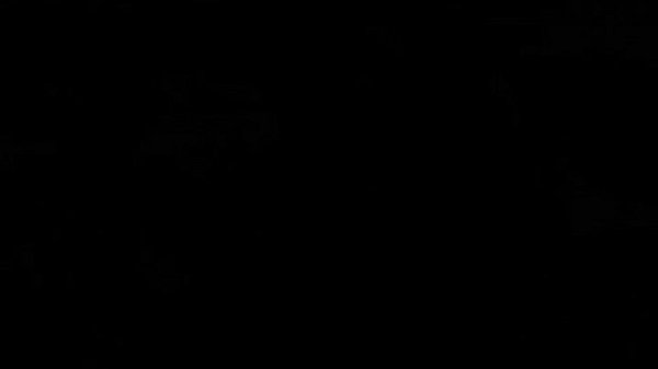 Big ass big titted big clit milf gina