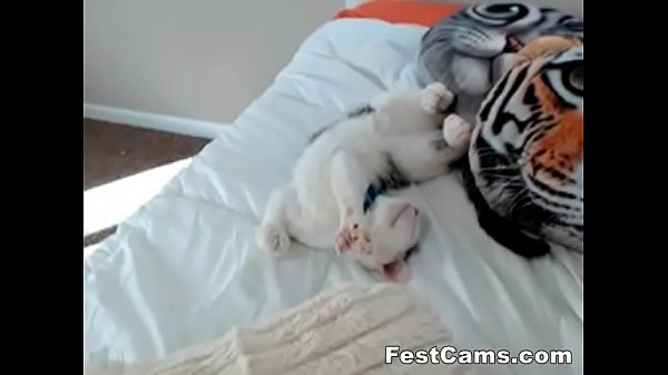 Redhead with small tits and big ass in stalks 