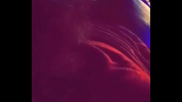 kimmie kumshot kimberly mcnasty 13 