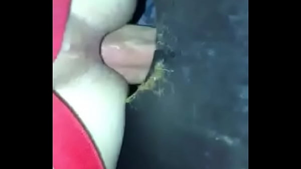 Play MP4 - VID-20180122-WA0140