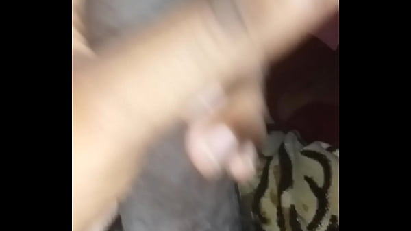 Play MP4 - Novinho de salvador