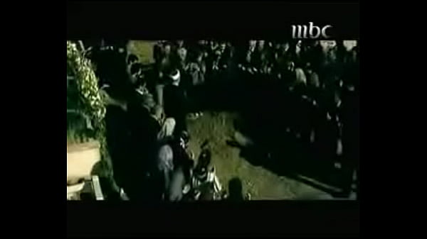 فيديو التحقق 