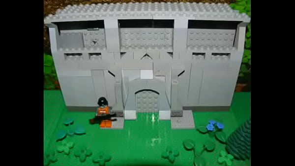 Ověřovac&iacute; video 