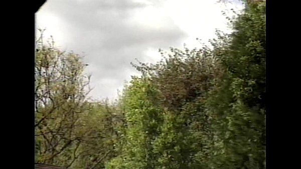 LBO Anal Vision 10scene 2video 3