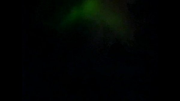 1216789 sonja ga_pusi sa_stilom