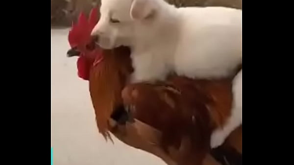 Nonton Xnxx.com thumbnail