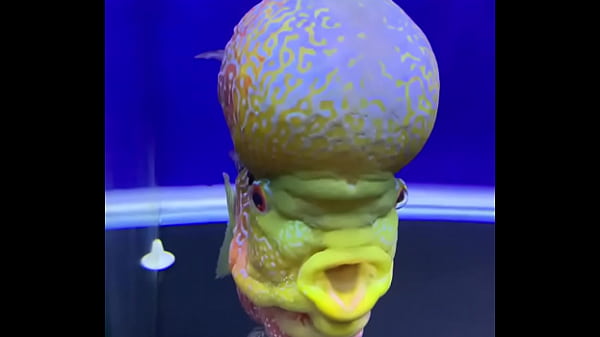Video x&aacute_c minh