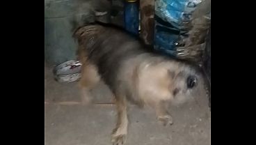 Verification Video thumbnail