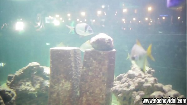 Play MP4 - In an elegant strip club&comma; the Spanish Alexa Tomas meets Nacho Vidal&period; They kiss in public&comma; they undress and he eats her pussy in front of all the attendees