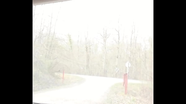 Lilacurvy update #93 apr 06 2021 