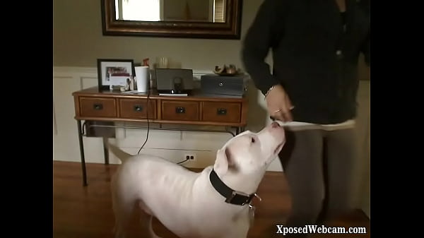 Incredible sexy honey_having