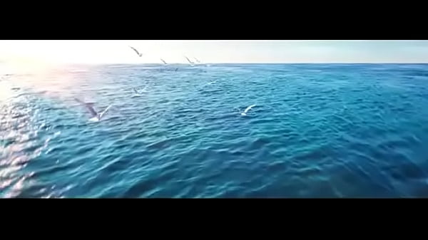 Nonton Dua Lipa thumbnail