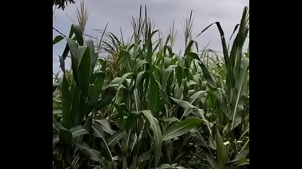 Video x&aacute;c minh 