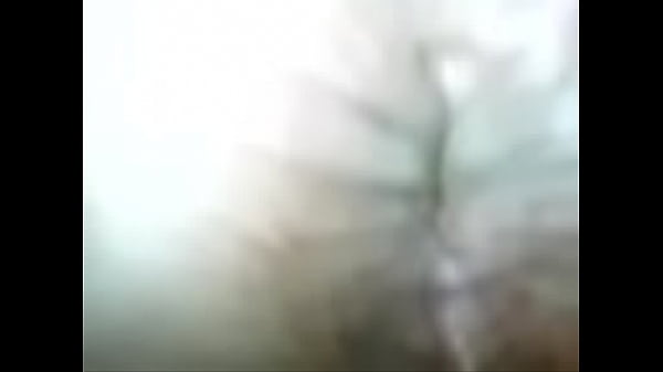 STEPHENS GAY ARSEHOLE