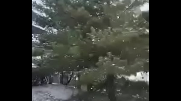 Vid&eacute_o 1