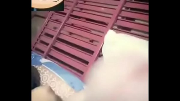 TINH NHIỀU GH&Ecirc; 