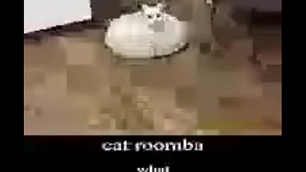 :p cute little femboy does the wanky