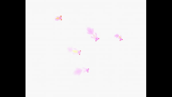 验证视频