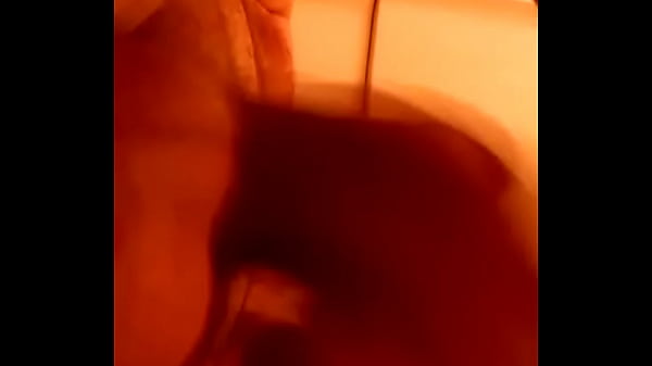 311f2931-6f7c-4b4e-a531-25a157aefa2f