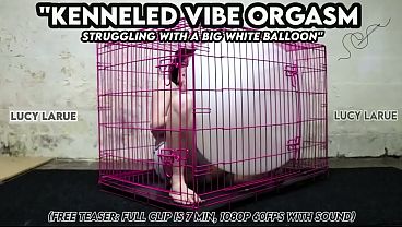 Kenneled Vibe's Ultimate Foot Worship Session