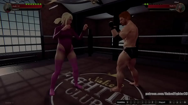 Peg vs vilkor nf3d mixed combat no rules 